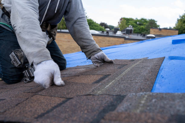 Best Flat Roof Repair Services  in Lake Darby, OH