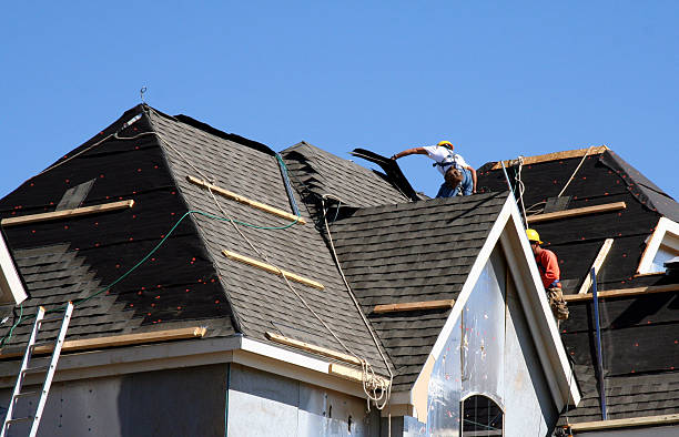 Best Storm Damage Roof Repair  in Lake Darby, OH